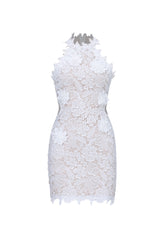 Nadja Romantic Contour Sleeveless Floral Lace Mini Dress