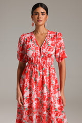 Sabriya Printed Dress
