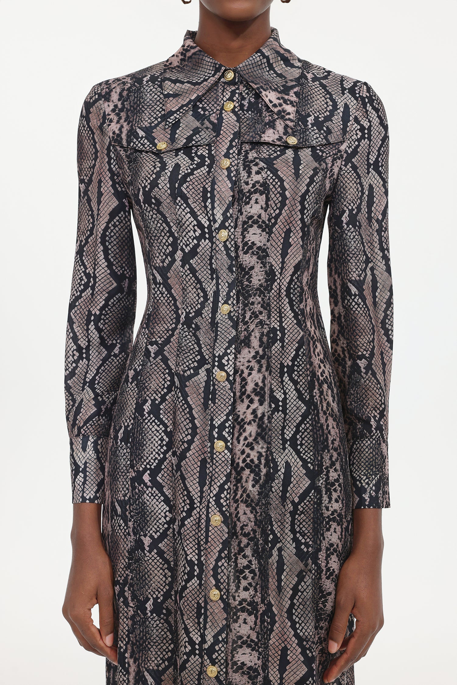 Tinnie Elegant Tailored Long Sleeve Snake Print Woven Maxi Dress