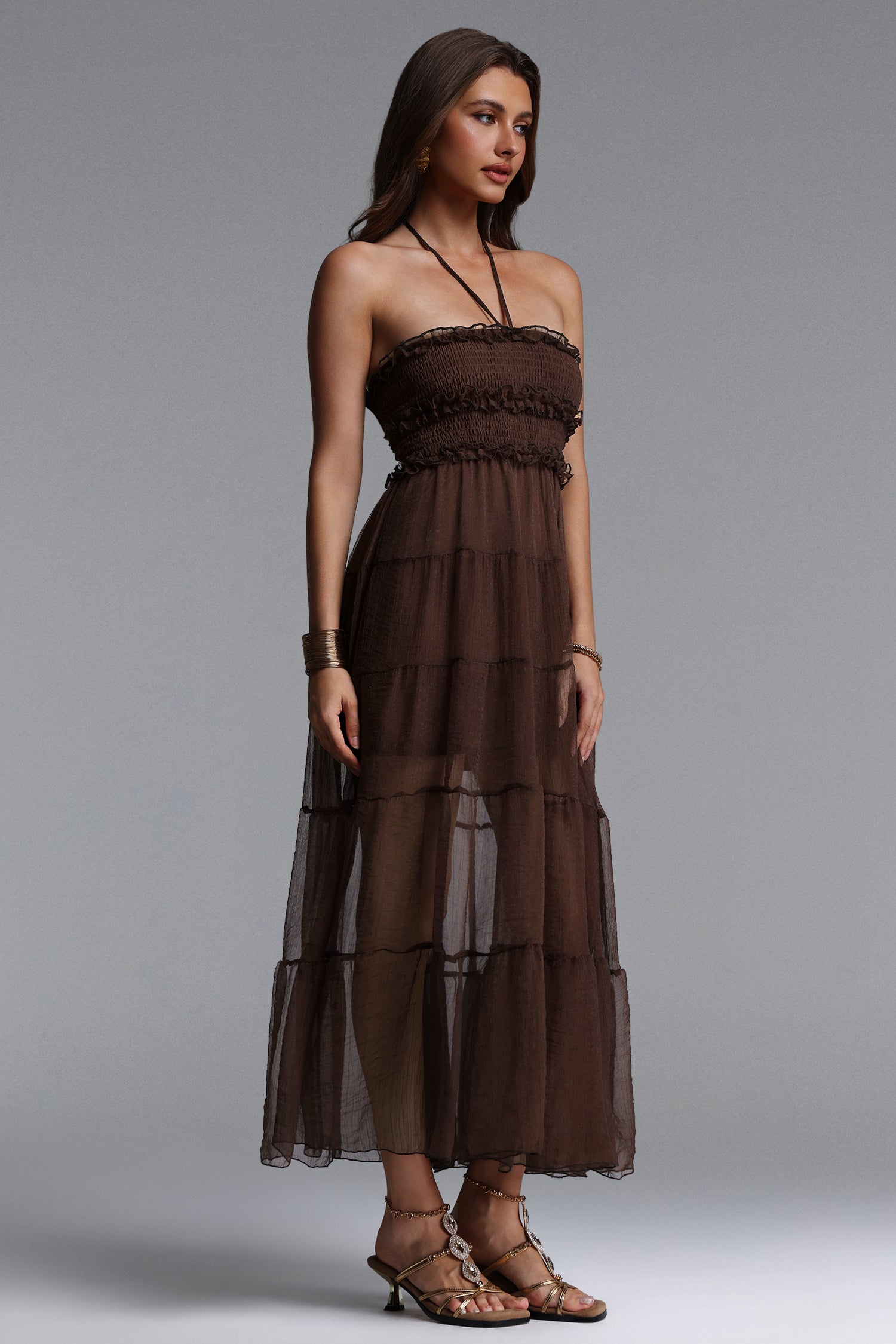 Nadine Resort Flowy Sleeveless Ruffle Ruched Mesh Maxi Dress