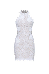Nadja Romantic Contour Sleeveless Floral Lace Mini Dress