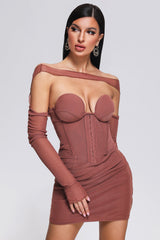 Slare Mesh Mini Dress